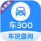 车300专业版下载