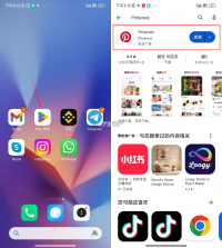 pinterest v14.1.0 app下载 截图