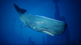 食人鲨 v1.4.4 破解版 截图