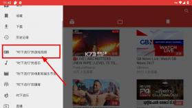 NewPipe v0.28.4 官方正版 截图