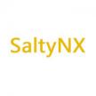 SaltyNX v1.8.1 插件下载