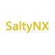 SaltyNX插件下载v1.7.5