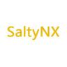 SaltyNX v1.7.5 插件下载