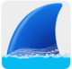 wireshark安卓版下载v1.2.1