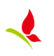 悦享校园app下载v5.2.6