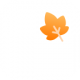 一叶日记app官方下载v2.22.2