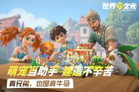 世界之光 v0.2.0 九游版 截图