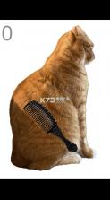 给猫梳毛 v1.0 游戏 截图