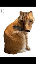 给猫梳毛 v1.0 游戏 截图