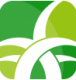 野草助手手机版官方v2.4.0