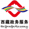 藏易通官方下载(西藏政务)