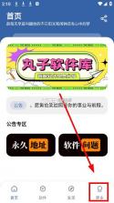丸子软件库 v1.1 app下载安装 截图