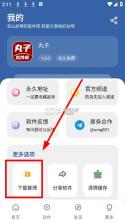丸子软件库 v1.1 app下载安装 截图