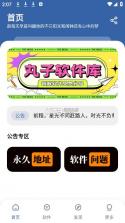 丸子软件库 v1.1 app下载安装 截图