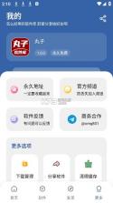 丸子软件库 v1.1 app下载安装 截图
