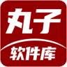 丸子软件库 v1.1 app下载安装
