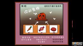 homegrownpet v1.0.1 中文版下载 截图