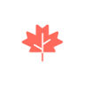 hustoday v1.4.3 官方正版下载