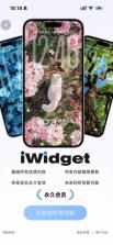 iwidget v1.0.6 小组件下载 截图