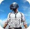 pubg v4.5.3 体验服手游下载地铁逃生