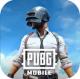 pubg体验服国际版下载v4.5.4