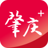 西江日报 v5.24.0 app下载官方