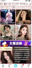 bigolive v6.53.1 官方下载app 截图