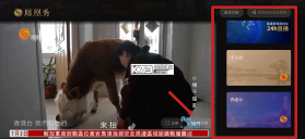 凤凰卫视 v5.5.13.3 app下载(鳳凰秀) 截图