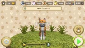 小猫的一生 v1.2.6 游戏下载 截图