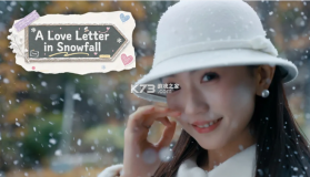 雪落情书时 v1.0 免费下载 截图