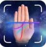 手相大师 v1.5.5 app下载