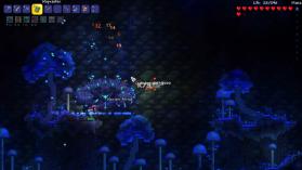 泰拉瑞亚 v1.4.4.3 灾厄模组整合包下载手机版 截图