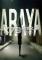 ARAYA下载免安装版