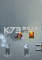 罪恶选择电脑版