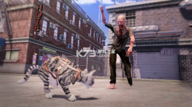 Max and Maya猫咪模拟器 下载电脑版 截图