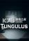Tungulus电脑版下载