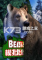 模拟野熊免安装版下载