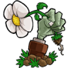 植物大战僵尸转基因版 v2.9.4 下载安装