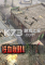 铁血联盟:交叉火力下载电脑版