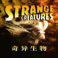 奇异生物 下载免安装版 截图