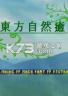 东方自然愈 免安装版下载