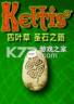 四叶草圣石之路 下载电脑版