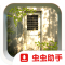斑驳日光下的废墟游戏