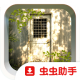 斑驳日光下的废墟游戏v1.0.3