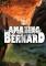 了不起的伯纳德(The Amazing Bernard)免安装版下载