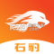 右豹app