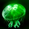 eggjelly官方版