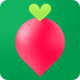 叮咚买菜app骑士版下载v13.10.1