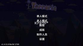 泰拉瑞亚1.4.5.8.5 汉化版下载手机版 截图