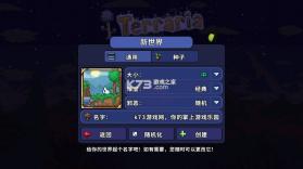 泰拉瑞亚1.4.5.8.5 汉化版下载手机版 截图